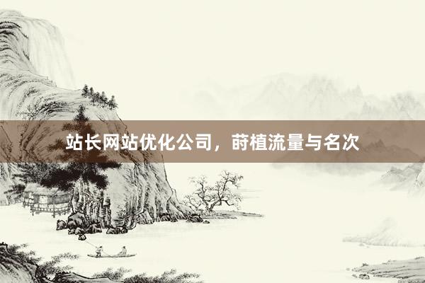 站长网站优化公司，莳植流量与名次