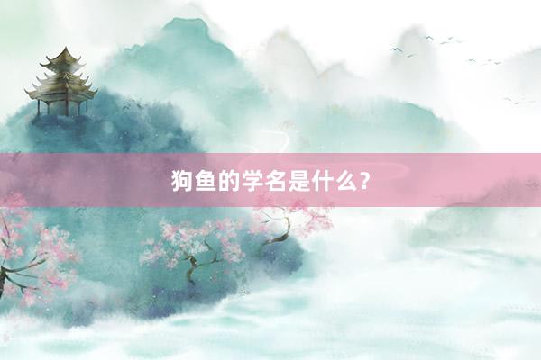狗鱼的学名是什么？